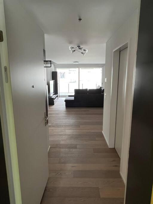 Brand New Apartment Surrounded By Nature Schattdorf Ngoại thất bức ảnh