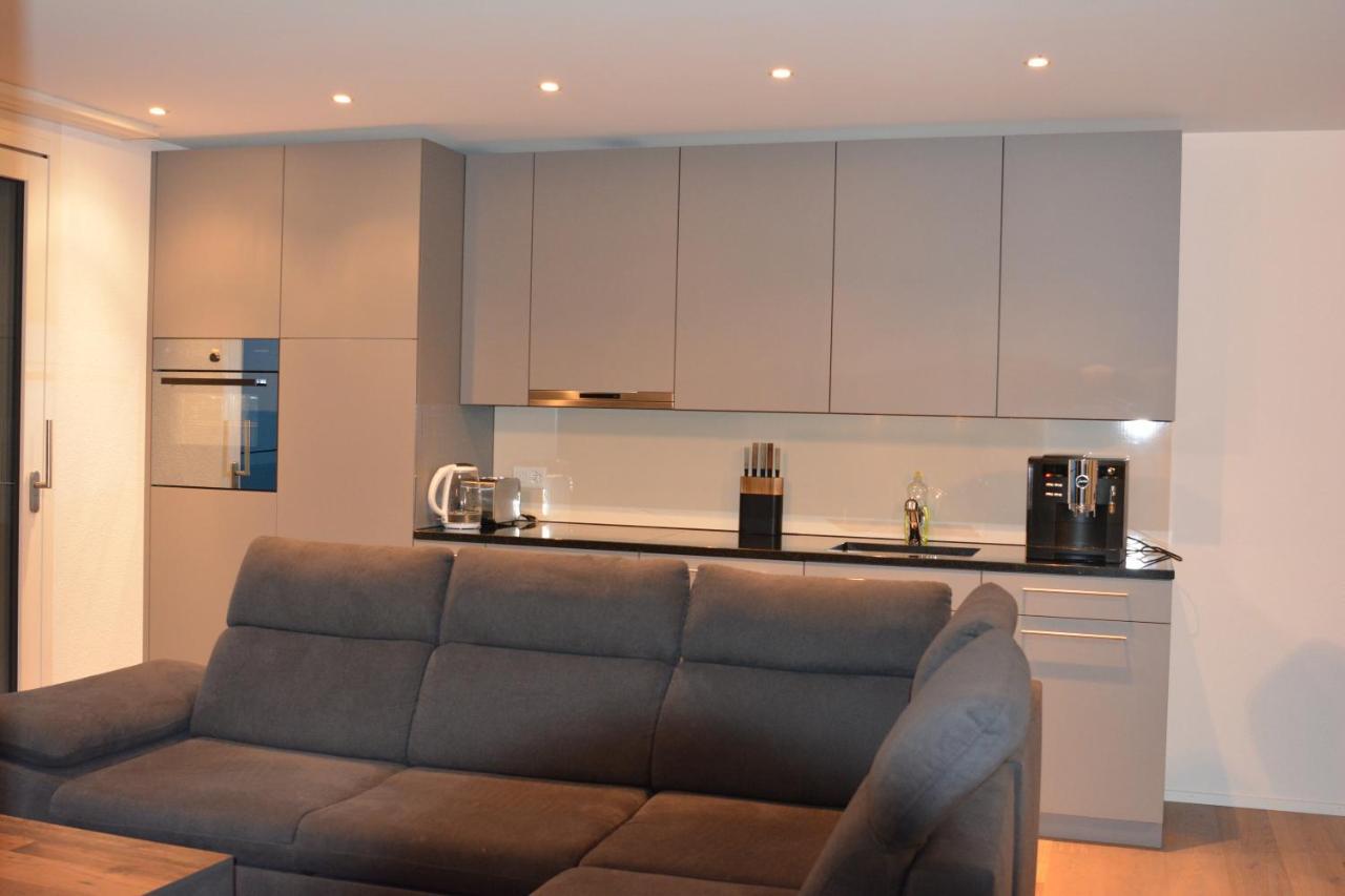 Brand New Apartment Surrounded By Nature Schattdorf Ngoại thất bức ảnh